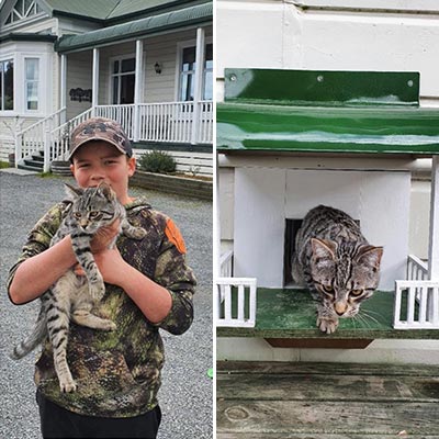 Brooke - Custom Cat Door