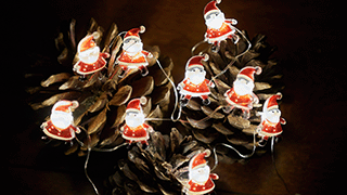 Novelty Christmas Lights