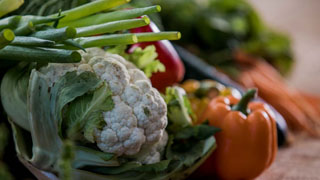 Our beginners guide to vegetable gardening