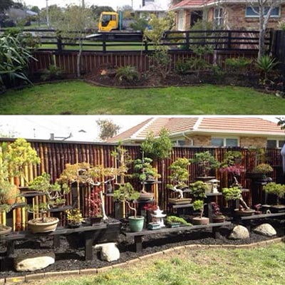 Horace - Bonsai Garden