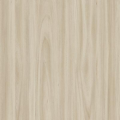 Coastal Elm