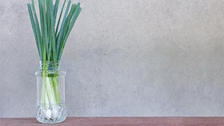 Re-growing Spring Onions in a Jar Re-growing Spring Onions in a Jar