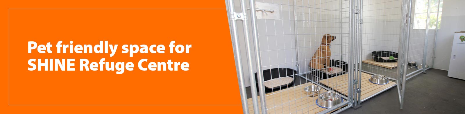 Pet friendly space for SHINE Refuge Centre