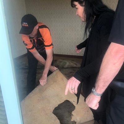 Floor Makeover - Ripping up the old carpet
