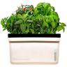 The Hydro Station Self Watering Propagation Kit