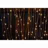 100 Seed Lights