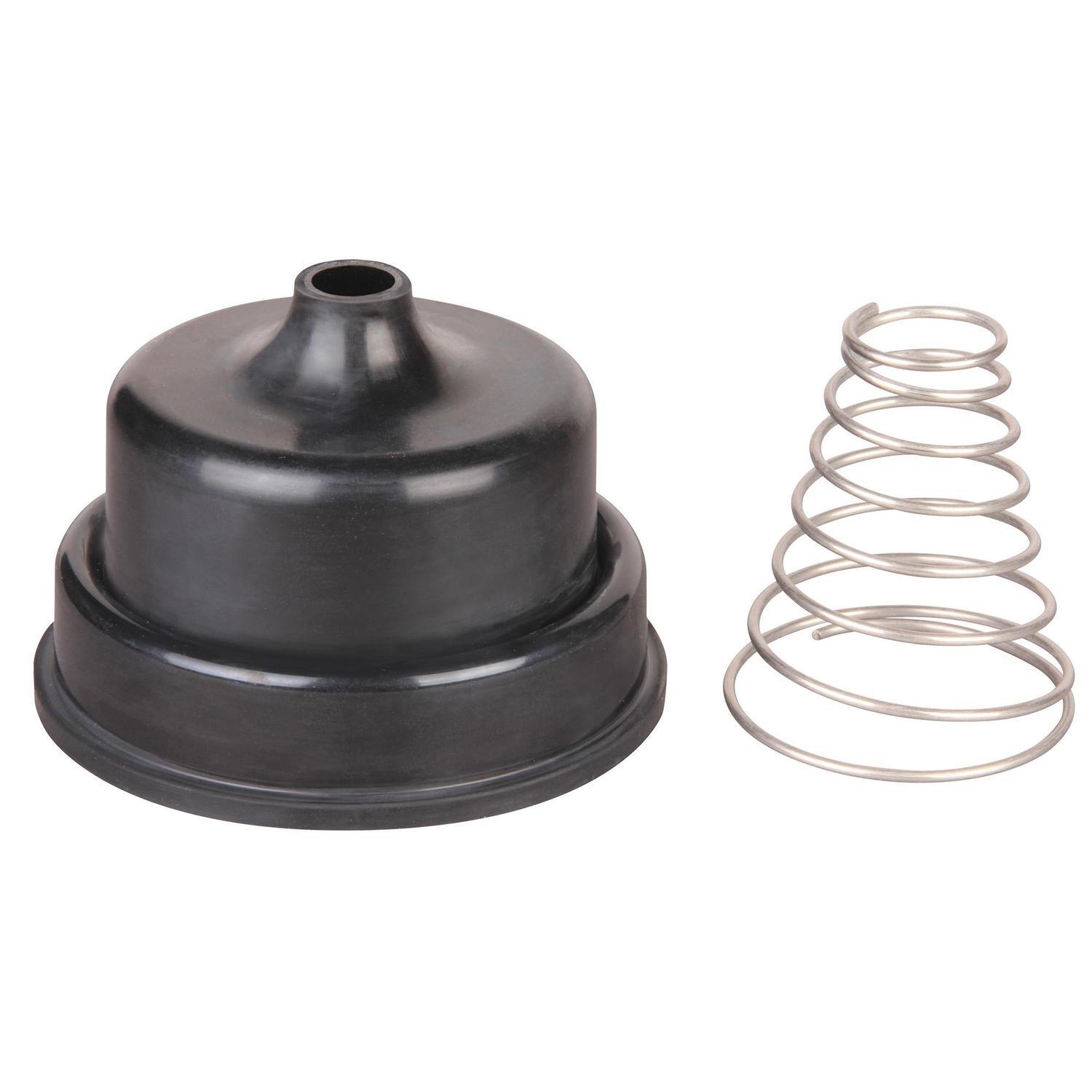 Check Valve Diaphragm & Spring