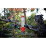 Wild Bird Feeder Nectar Nutra Feeder