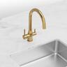 Elite 3-In-1 Gooseneck Water Filter Sink Mixer  Brushed Gold