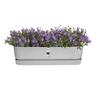 Plastic Trough with Saucer Grey 70cm
