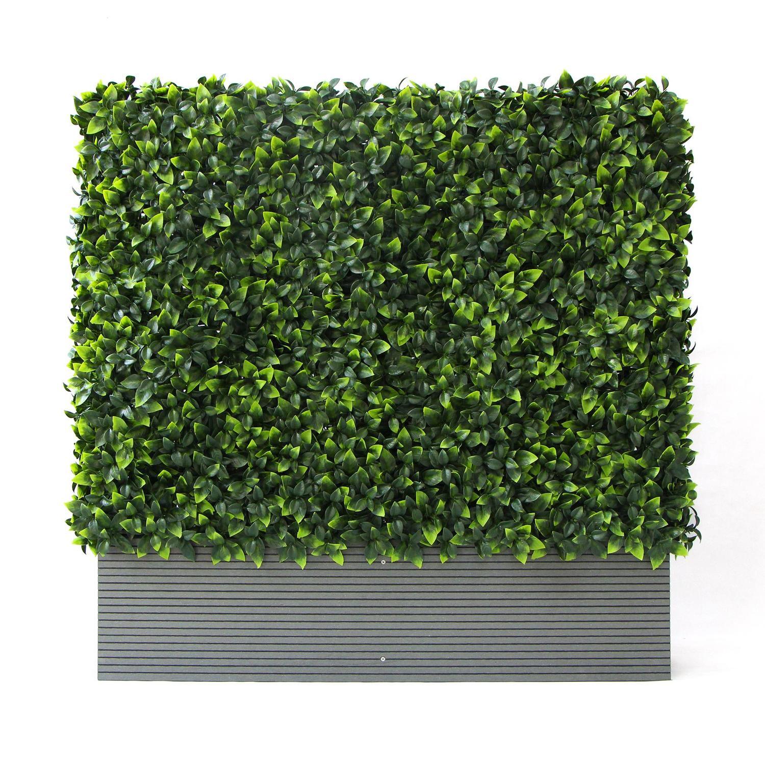 Photinia Gold Artificial Hedge Planter