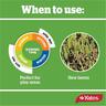 Yates Lawn Seed Tuff Grass 500g