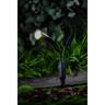 Spot Light 15 Lumen 34cm H   Solar powered White