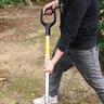 Stainless Steel D-Handle Border Fork