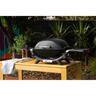 Q 2000N BBQ