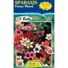 Sparaxis Fiesta Mixed 15 Pack