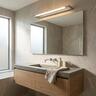 Rotatable Mirror Light 12W Brushed Stainless Steel