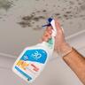 Indoor Mould Remover