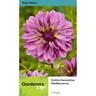 Dahlia Decorative Mediterranne 1 Pack