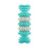 Freshmint Toothbrush Dog Toy M