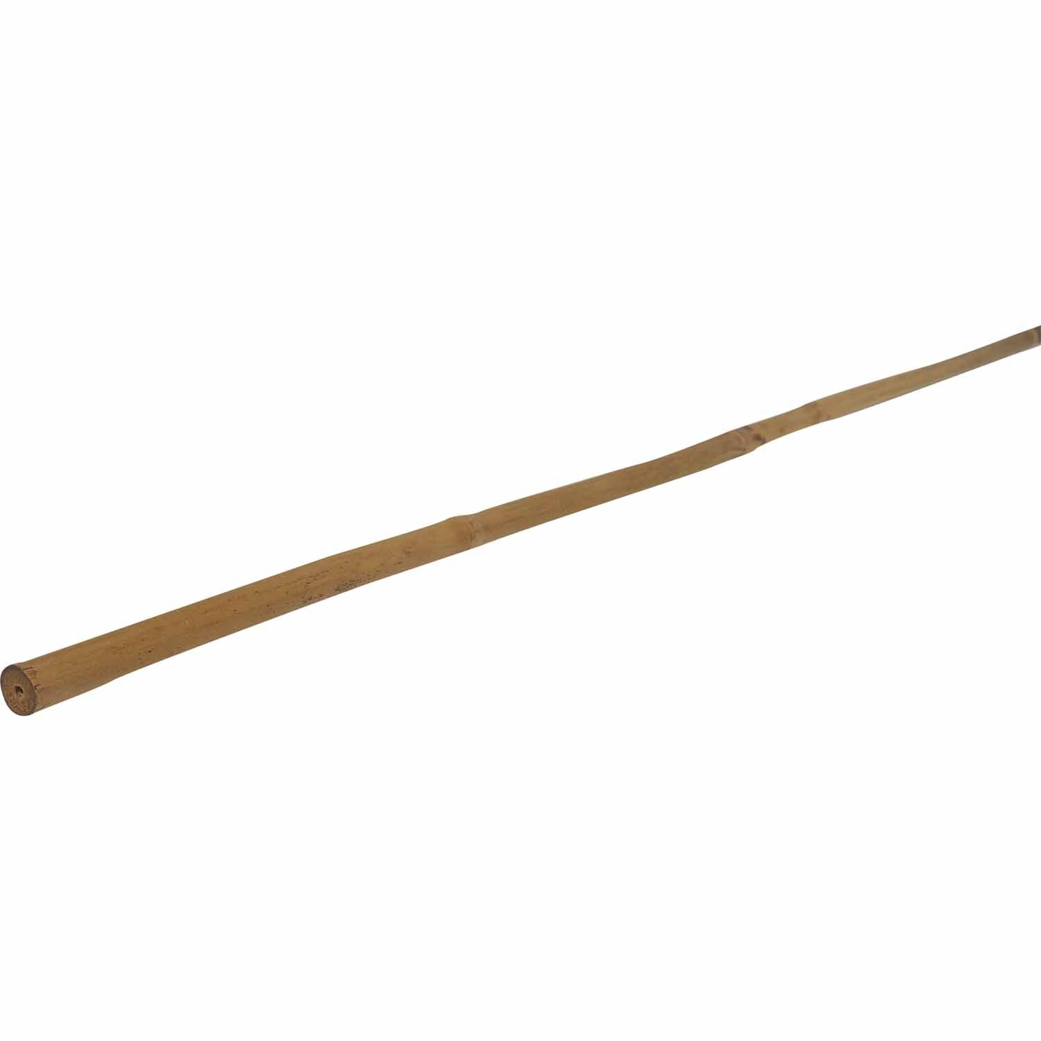 Bamboo Cane Garden Stakes
