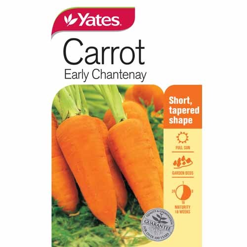 Carrot 'Early Chantenay'