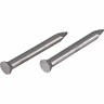 Concrete Nail 30mm Silver
