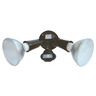 Twin Sensor Spot Light