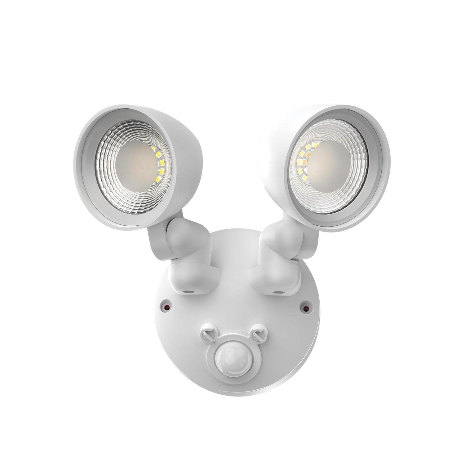 Security Light White