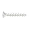 Hinge Screws