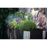 Raised Garden Bed