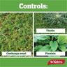 Prickle Weedkiller