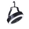 Portable Light with Fan