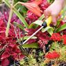 Garden Cultivator Hoe