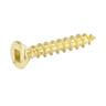 Hinge Screws