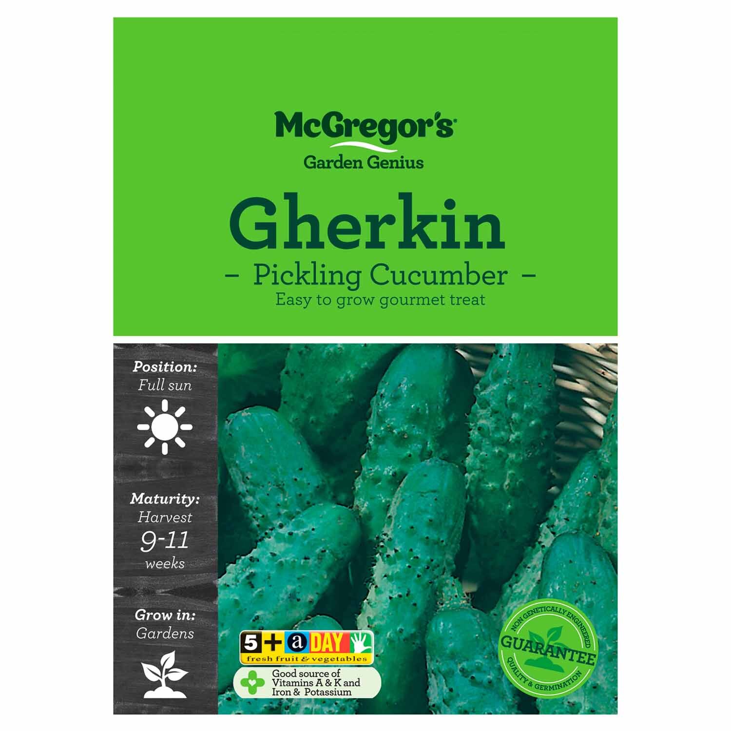 Pickling Cucumber Gherkin  Vegetable Seed