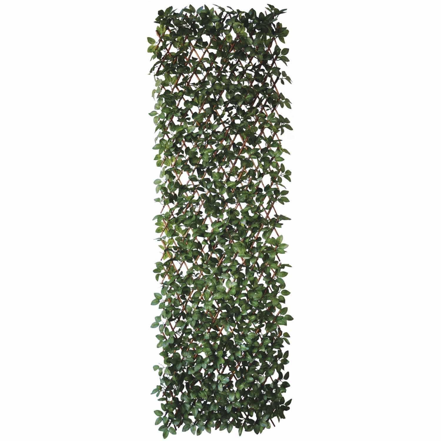 Expanding Trellis