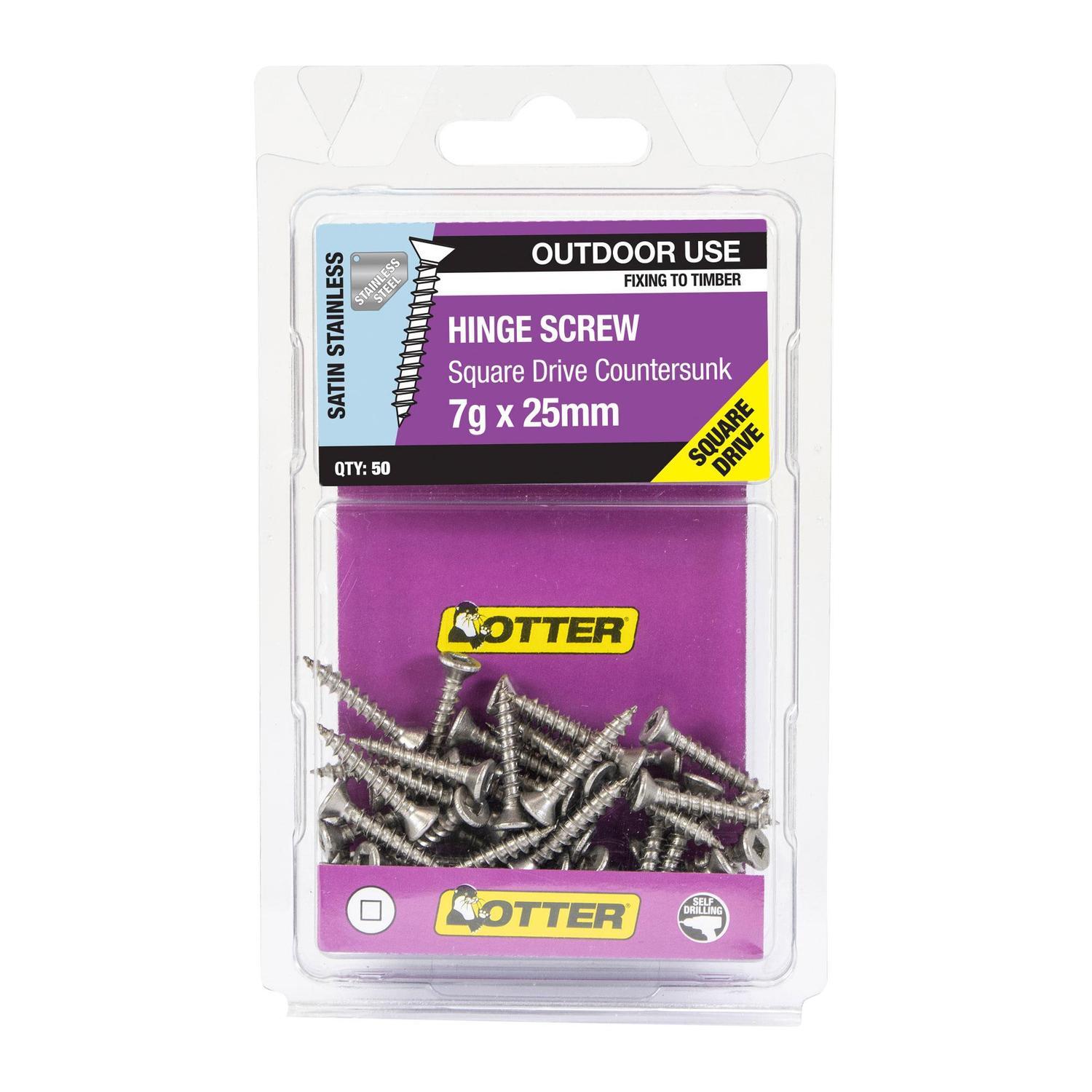 Hinge Screws