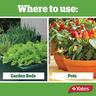 Citrus, Vegie & Ornamental Insect Spray