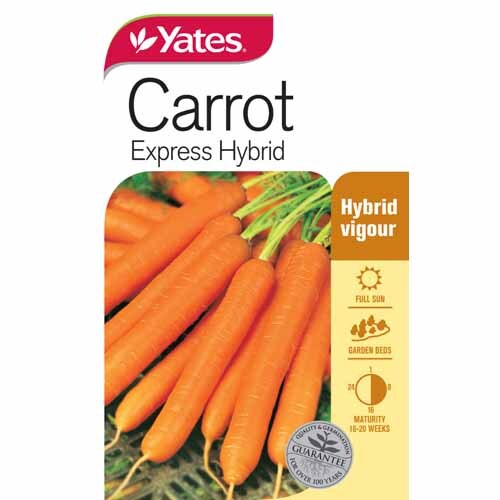 Carrot 'Express' Hybrid
