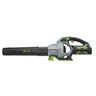 Cordless Blower Skin 56 Volt