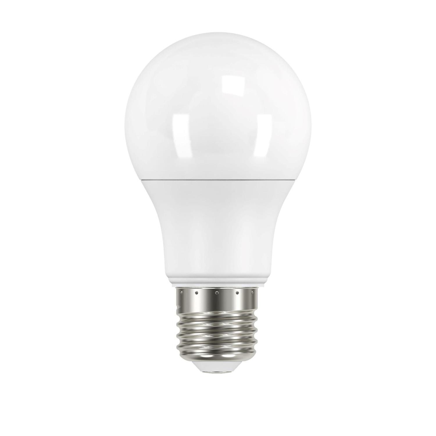 LED Light Bulb Classic