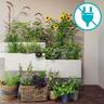 Solar-powered Plant Irrigation Set
