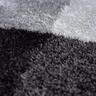 Orion Rug