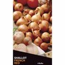 Shallot French Red Pack of 4