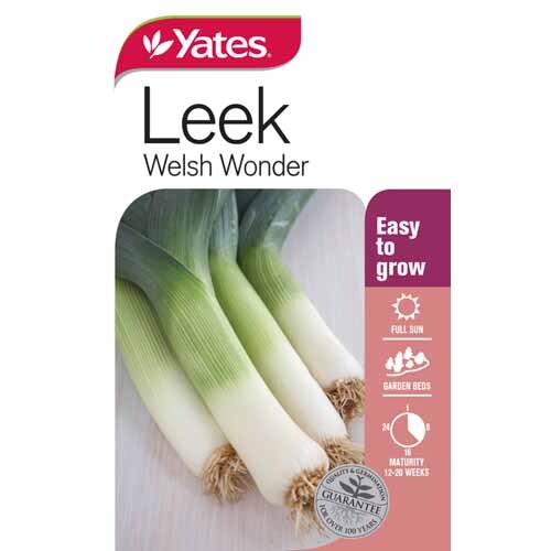 Leek 'Welsh Wonder'