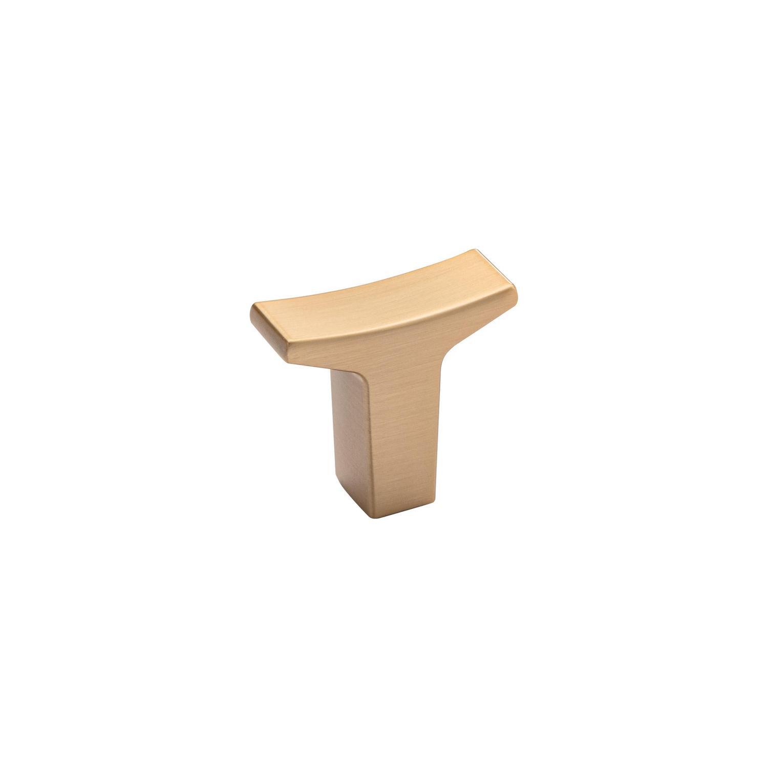 Tempe Cabinet Knob Matte Gold Finish