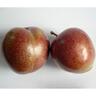 Plum Omega
