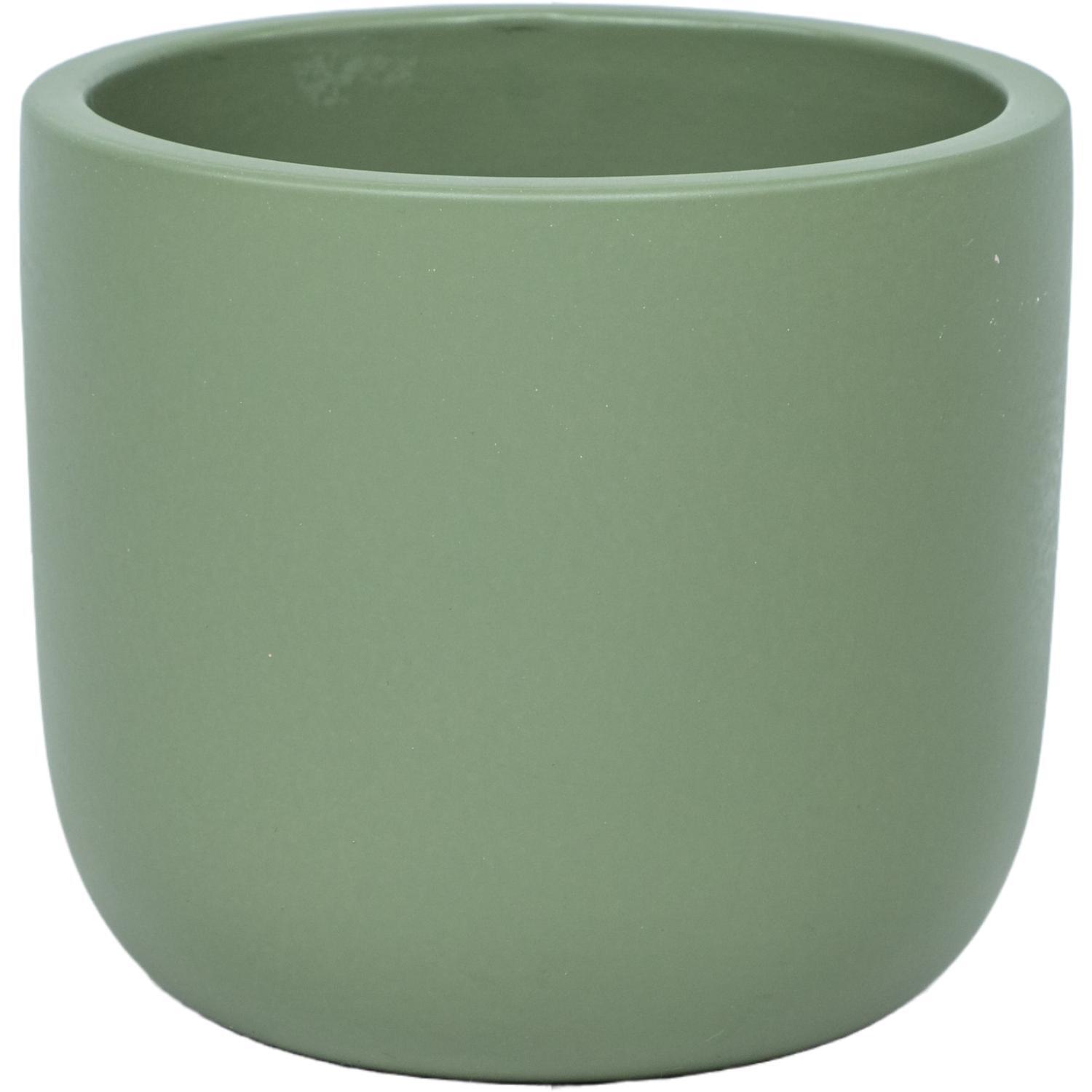 Indoor Ellie Pot