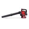 Petrol Blower Vac